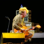 Stray Cats